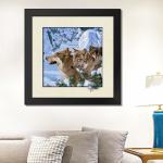 Stock 5D pictures with Frame 3D Lenticular Pictures Popular Wolf Image
