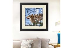 China Stock 5D pictures with Frame 3D Lenticular Pictures Popular Wolf Image supplier