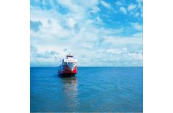 China A Class International Sea Freight Forwarding DDP From China To Mexico supplier