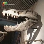 CE Realistic Artistic Dinosaur Skeleton Replica T Rex Skeleton Head High simulation for sale