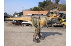 China Realistic Animatronic Animals manufacturer