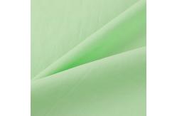 China UV Resistant Windproof Taslan Fabric For Garment Water Resistant Fabric supplier