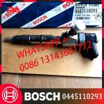 0445110293 Diesel Fuel Common Rail Injector 0445110293 FOR Bosch GREATWALL Hover 1112100-E06 for sale
