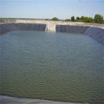 1.5mm HDPE Textured Geomembrane PVC Geomembrane Liner For Biodigestor Aquaculture for sale