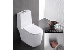 China Dual Flush Washdown Siphonic One Piece Toilet Models P Trap S Trap supplier