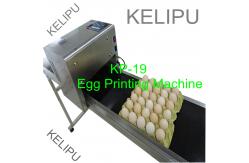 China The Whole Pallet Egg Printing Machine , Industrial Inkjet Printer For Eggs supplier