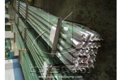 China API 11AX Approved RHBM-AC Double Seal Upper And Down Rod Pump supplier