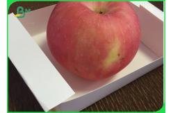 China Wood Pulp Disposable Paper Roll , Custom Food Pack PE Coated Paper Roll supplier