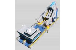 China Inflatable Water Slide, hippo slide , inflatable giant slide supplier