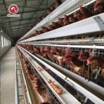 Automated Poultry Farm Layer Chicken Cage Equipment A Type With Feeding System for sale