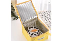 China Large Reusable Thermal Bags Insulated Ice Bag With Aluminium Foil supplier