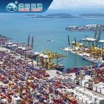 DDU DDP DAP Global Shipping Services Freight China To World for sale