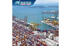 China DDU DDP DAP Global Shipping Services Freight China To World supplier