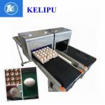 Digital Egg Jet Coding Machine Maintenance - Free With Pink / Green Food Grade Ink