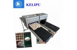 China Digital Egg Jet Coding Machine Maintenance - Free With Pink / Green Food Grade Ink supplier