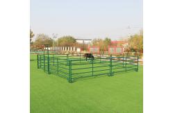 China 12FT Corral Fence supplier