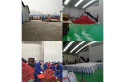 china Dried Red Chilli Peppers exporter