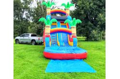 China ODM Palm Tree Bounce House With Slide Digital Printing Logo supplier