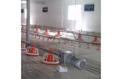 China Automatic Poultry Feeder For Broiler Automatic Pan Feeding System supplier