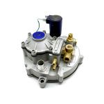 180 HP 3 Stage CNG Pressure Regulator Reducer TA98 For CNG SPI System for sale