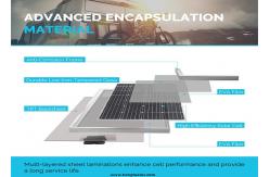 China Waterproof 150 Watt Monocrystalline Solar Panel High Grade Single Crystalline Silicon supplier