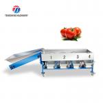 Automatic Cherry Tomato Fruit Sorter Machine Potato Sorting Grading Machine for sale