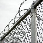 Low Price Concertina Hot Dipped Galvanized Razor Barbed Wire for sale