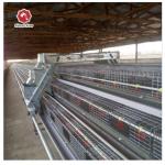 A Type 90/96/120/128/160 Birds Layer Chicken Cage System Farming 3 Tiers for sale