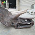 ISO water repellent Dinosaur Skeleton Replica Fossil Life Size Triceratops Skull