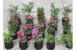 China Lightweight Basin 1gal PE Heavy Duty Poly Grow Bags With Hole supplier