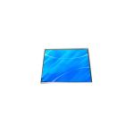HSD053F8W1-C00 5.3 inch a-Si TFT-LCD Screen Display for sale