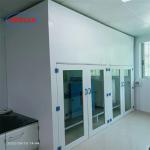Class 100 Laboratory Fume Cupboard Controlled Chemical Exposure High Safety Level