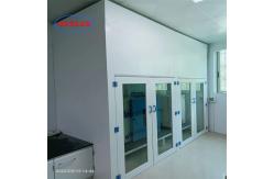 China Class 100 Laboratory Fume Cupboard Controlled Chemical Exposure High Safety Level supplier