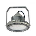 China Explosion Proof Led Light IP66 WF2 20-240W For Harsh Industrial Applications for sale