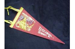 China Waterproof Digital Printing Custom Felt Banner Polyester Fabric Decoration supplier