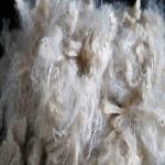 Matrix Stability Polyester Man Made Fibre 64mm Low Melt Off White PSF