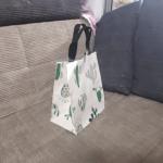 38*44cm Blank Promotional Canvas Shopping Totes Cactus Print Bag With Velcro for sale