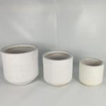 Wholesale Real Plant Display With Fiber Clay Planters Decoration for sale