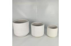 China Wholesale Real Plant Display With Fiber Clay Planters Decoration supplier