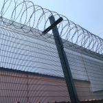 Razor Barbed Wire 358 Anti Climb Security Fence Prison Airport Welded Mesh for sale