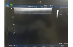 China Secondhand Abdominal Ultrasound Probe For Vascular Access supplier
