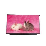 15.6 inch 1366x768 LED Notebook LCD Screen Display B156XTN01.0 for sale