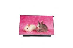 China 15.6 inch 1366x768 LED Notebook LCD Screen Display B156XTN01.0 supplier