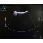 GE 4C-RS Ultrasound Probe Repair Crystal Replacement Imagine Problem for sale