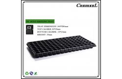 China 105 Holes Rectangular Polystyrene Seed Raising Tray Deep Cell Plug Trays 540X280mm supplier