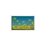 in stock 14.0 inch N140HGE-EPA 1920*1080 LCD Laptop Screen for sale