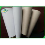 White Coated Duplex Board with Grey Back 300gsm for Packaging Box
