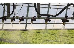 China USA/Canada Steel Structure Vegetables Planting Single-Arch Greenhouse for Hydroponics supplier