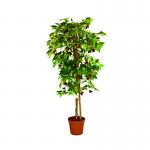 160cm Artificial Cherry Tree Corner Decoration Lush Style No Nursing Easy To Care Evergreen Plants for sale