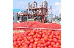 China Fully Enclosed  Low Temperature Fruit Juice Evaporator supplier